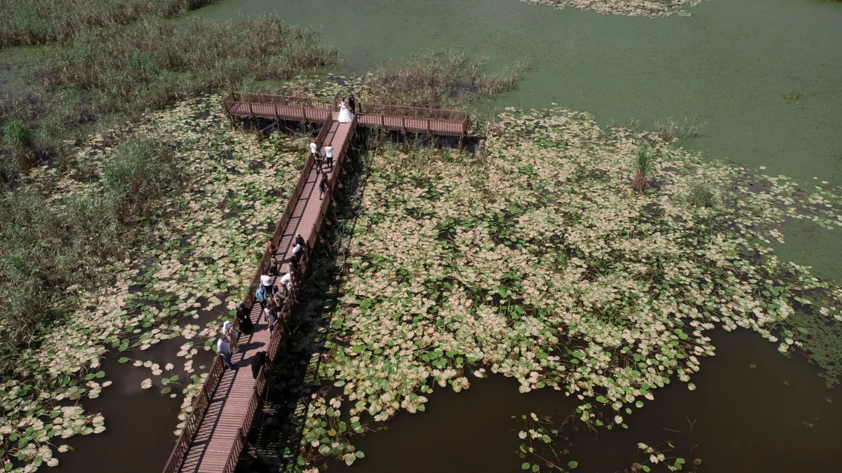 A Wetland Reserve Day Checklist: What to Pack and Prepare