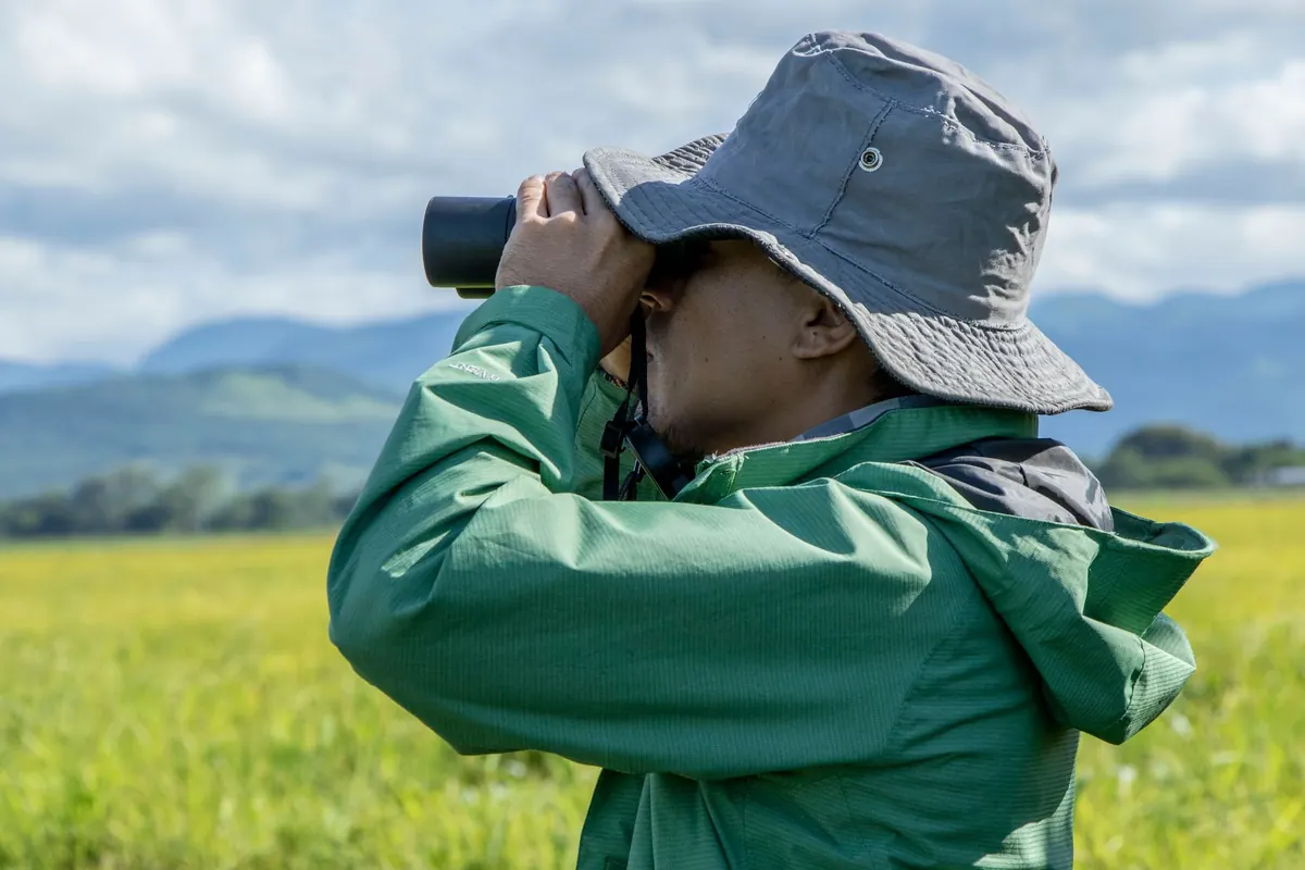 Beginner's Guide to Birdwatching Binoculars: What to Look For