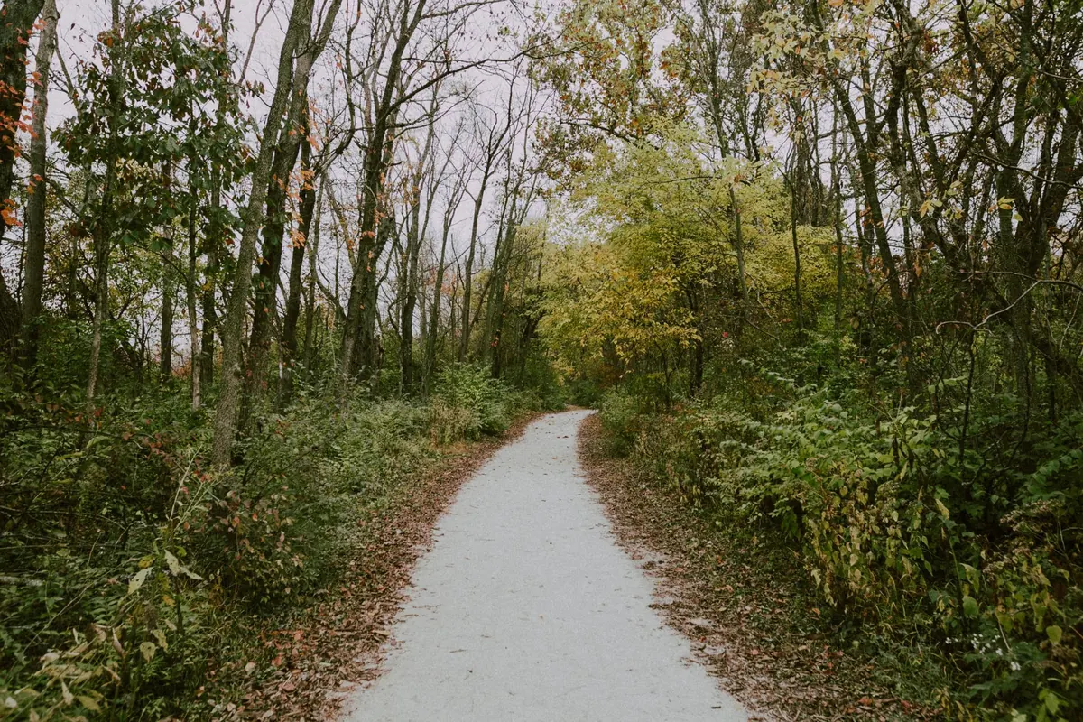 How to Plan a Birdwatching Nature Trail: Route, Timing and Kit